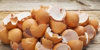 割れた卵の夢を見るのはなぜですか?また、それは何を予兆しますか?